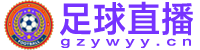 足球直播 足球直播